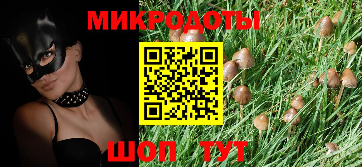 Псилоцибиновые грибы GOLDEN TEACHER Белгород