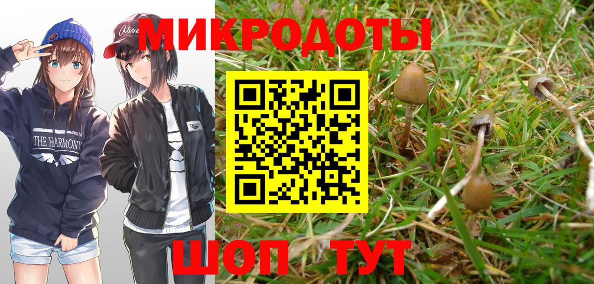 Галлюциногенные грибы MAGIC MUSHROOMS  Псилоцибиновые грибы Psilocybine cubensis  Вход с VPN  где найти наркотики  Белгород 